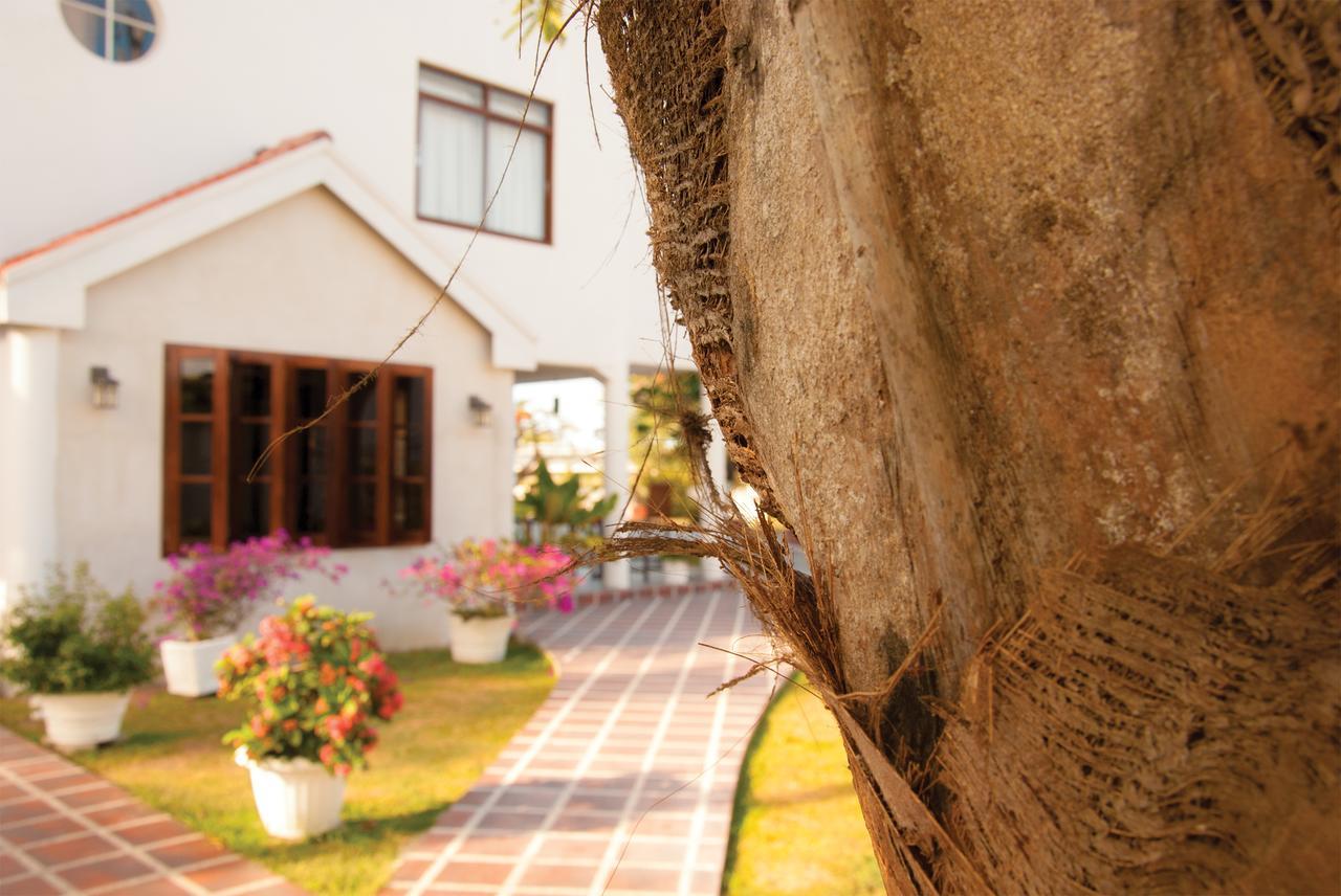 Herdmanston Lodge Hotel Georgetown Luaran gambar